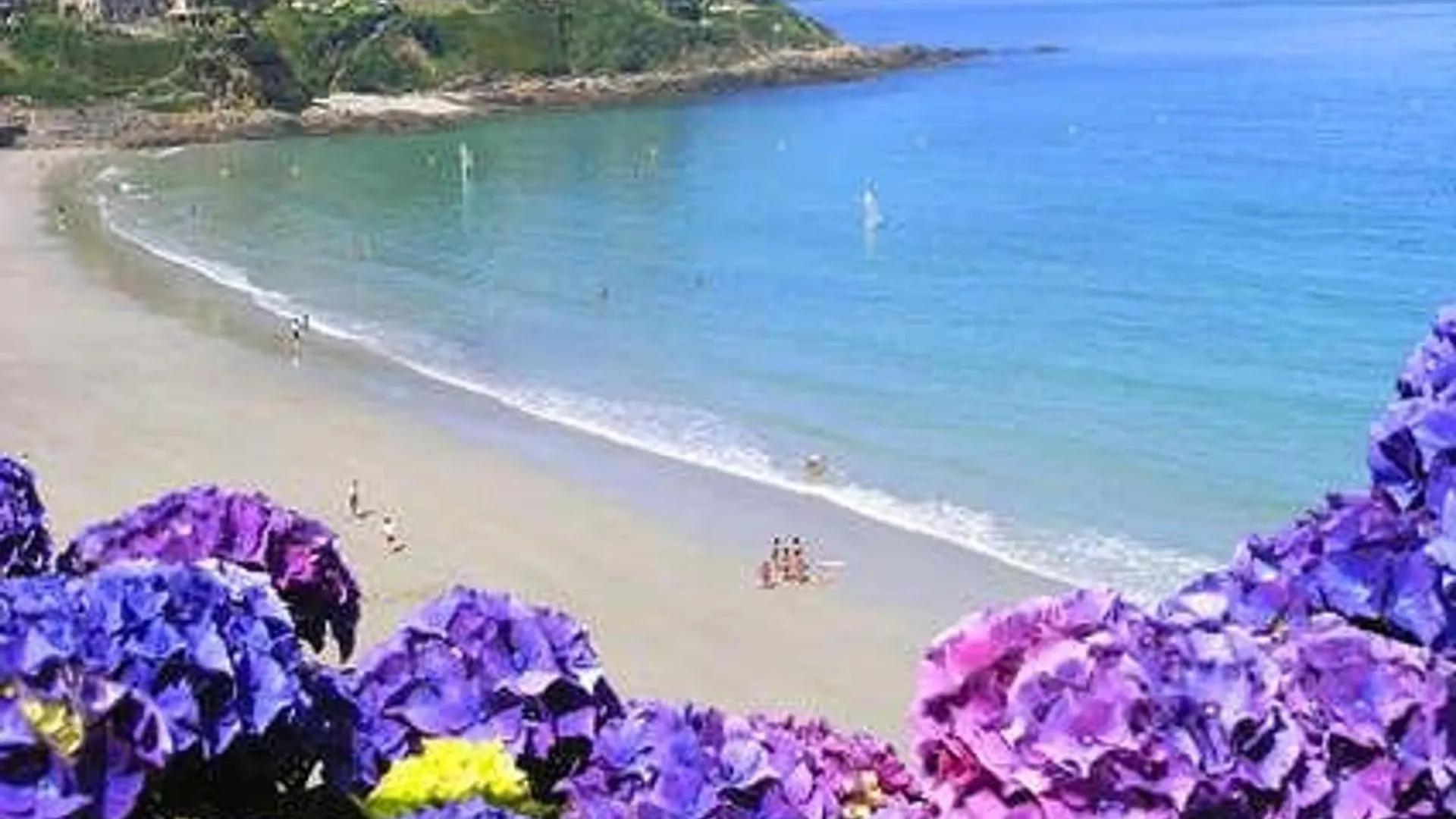 Appartement 3 Etoiles A Perros-Guirec, Plage De Trestraou, 2-4 Pers, Parking Inclus, Proche Thalasso - Fr-1-542-44
